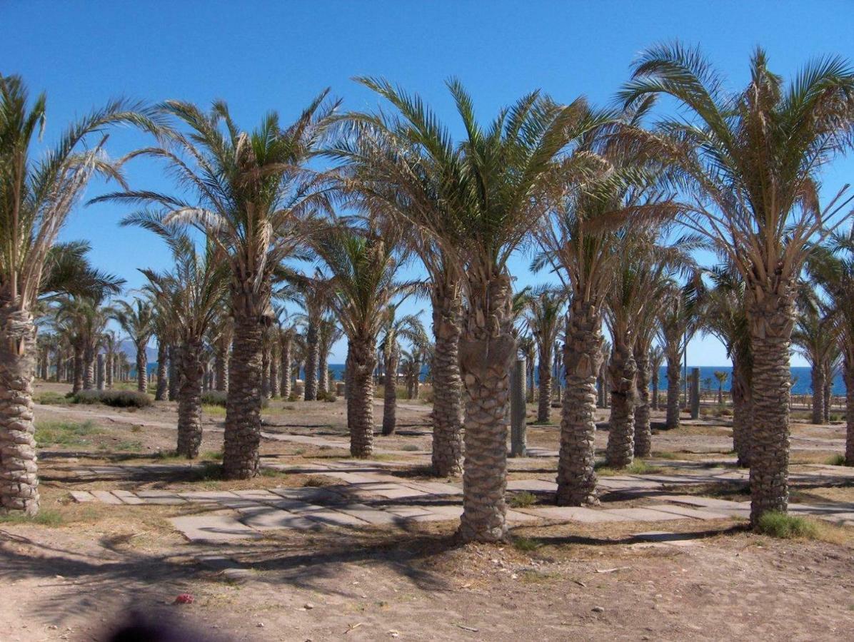 דירות אלמריה Golf Y Playa Junto Al Cabo De Gata מראה חיצוני תמונה